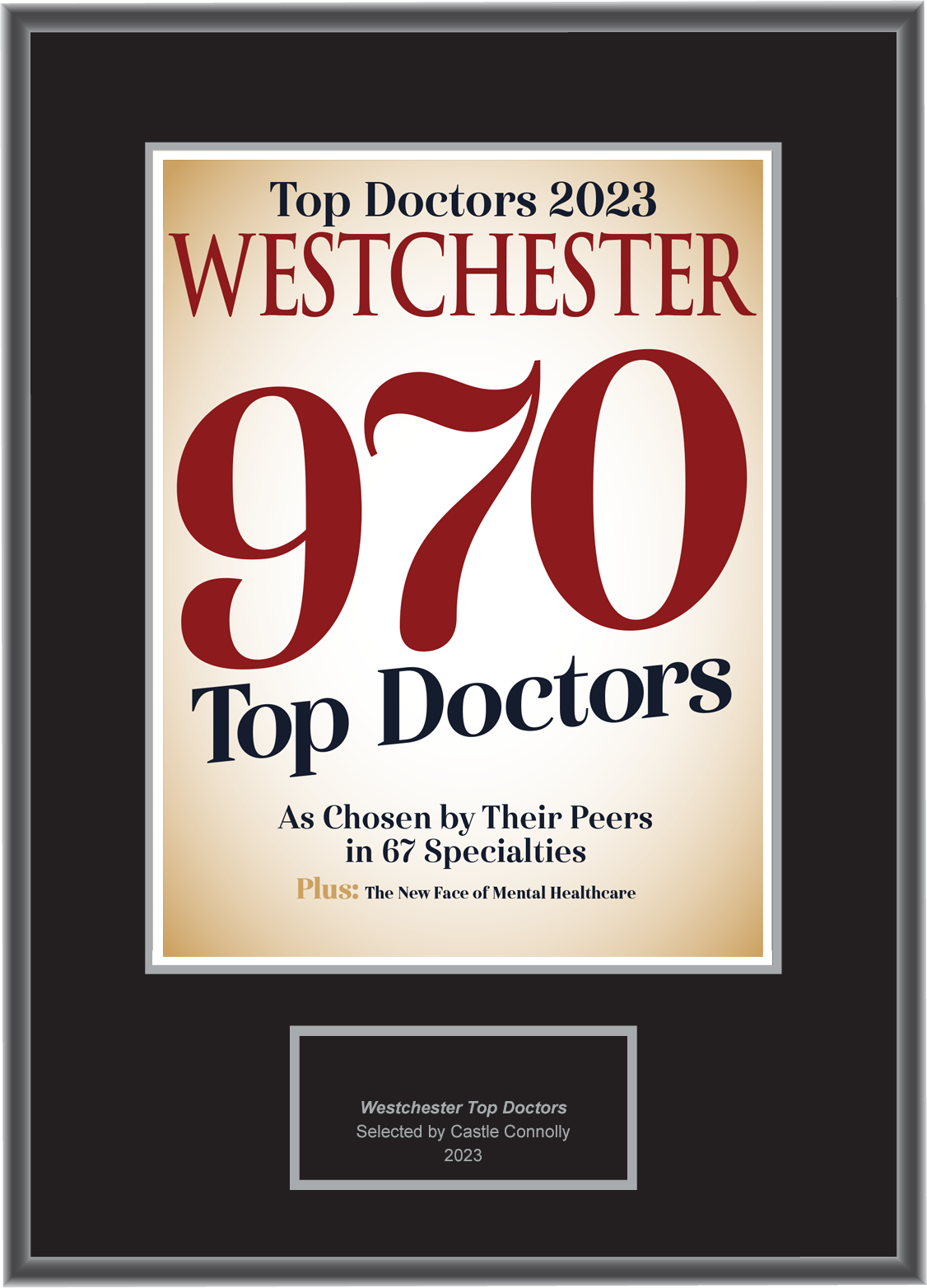 Westchester Magazine Top Doctors 2023 Plaque Castle Connolly Top