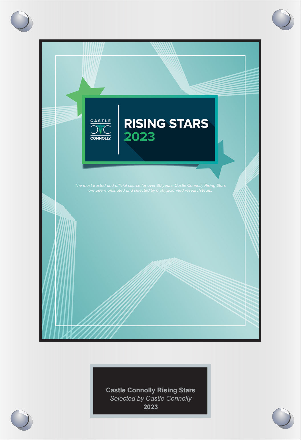 2023 Rising Stars - Plaque