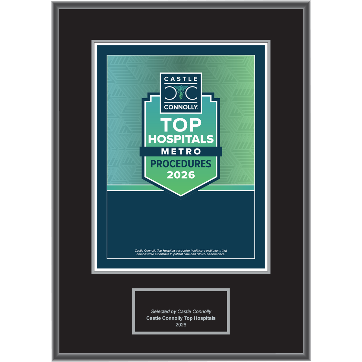 2026 Top Hospitals - Procedures - National, State, and Metro - Plaque
