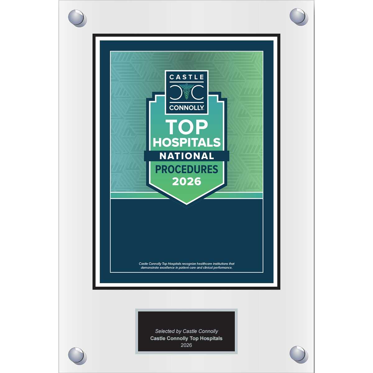 2026 Top Hospitals - Procedures - National, State, and Metro - Plaque