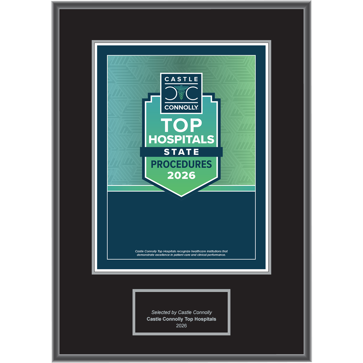2026 Top Hospitals - Procedures - National, State, and Metro - Plaque