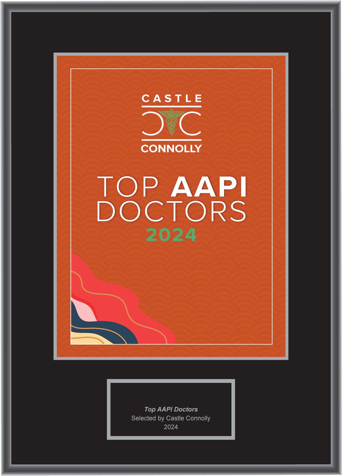 Top AAPI Doctors 2024 - Plaque