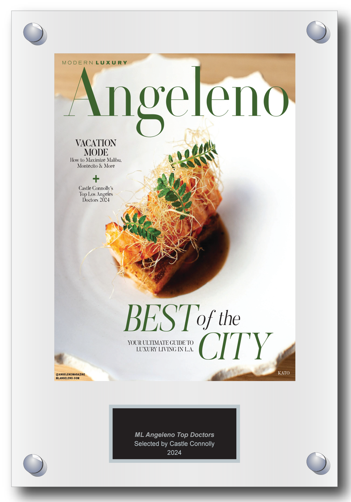 2024 Regional - Modern Luxury Angeleno - Plaque