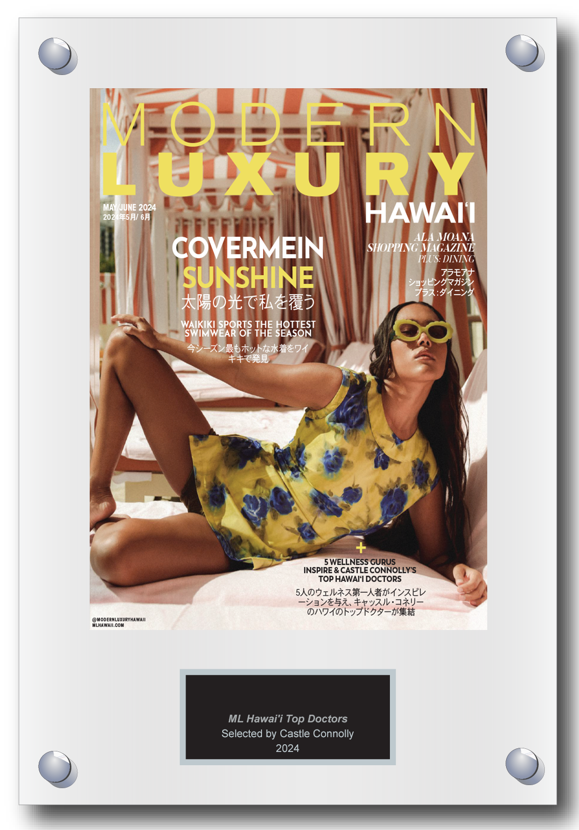 2024 Regional - Modern Luxury Hawaii - Plaque