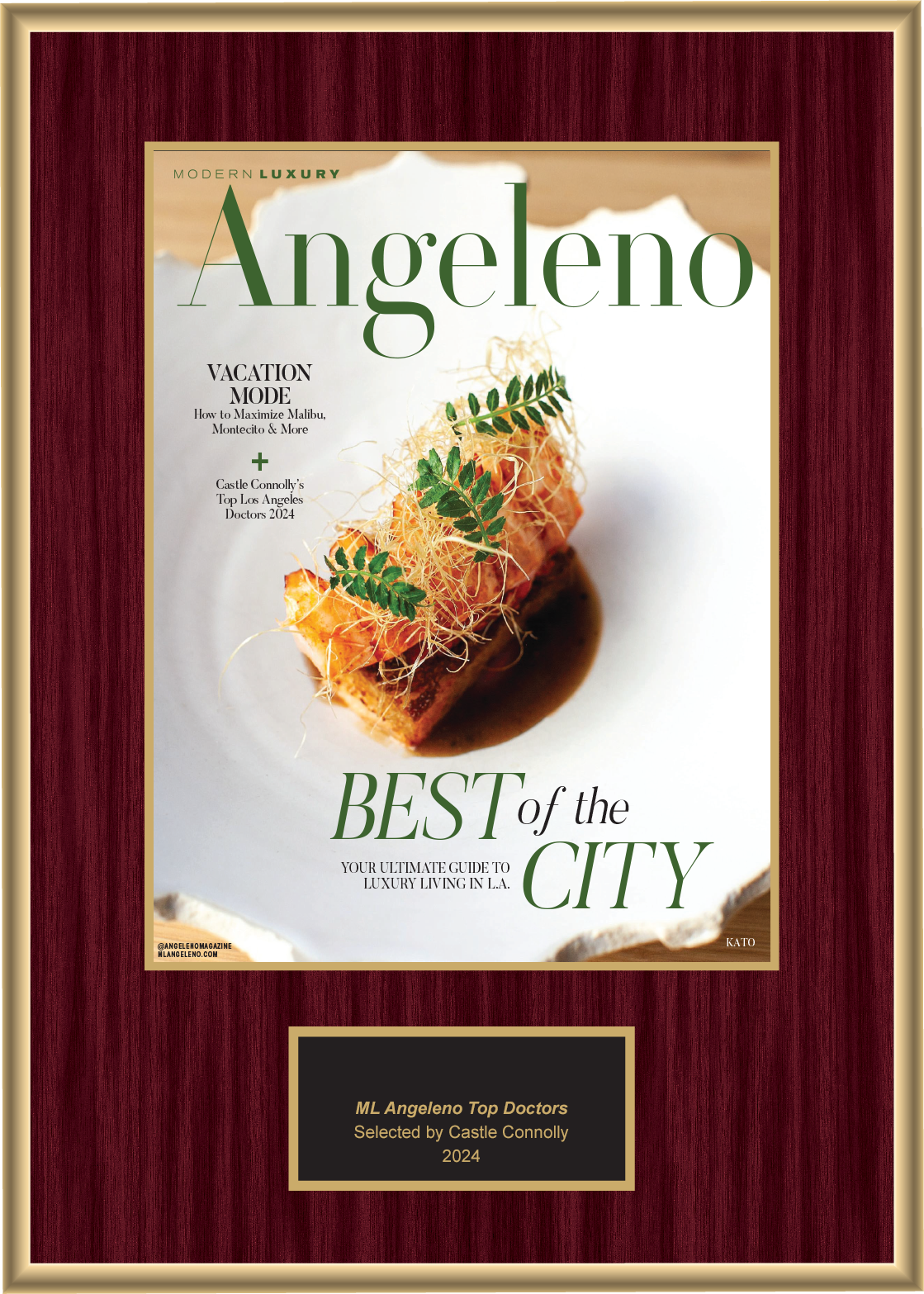 2024 Regional - Modern Luxury Angeleno - Plaque