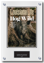 Load image into Gallery viewer, Louisiana Life Magazine Top Doctors 2023 - Plaque
