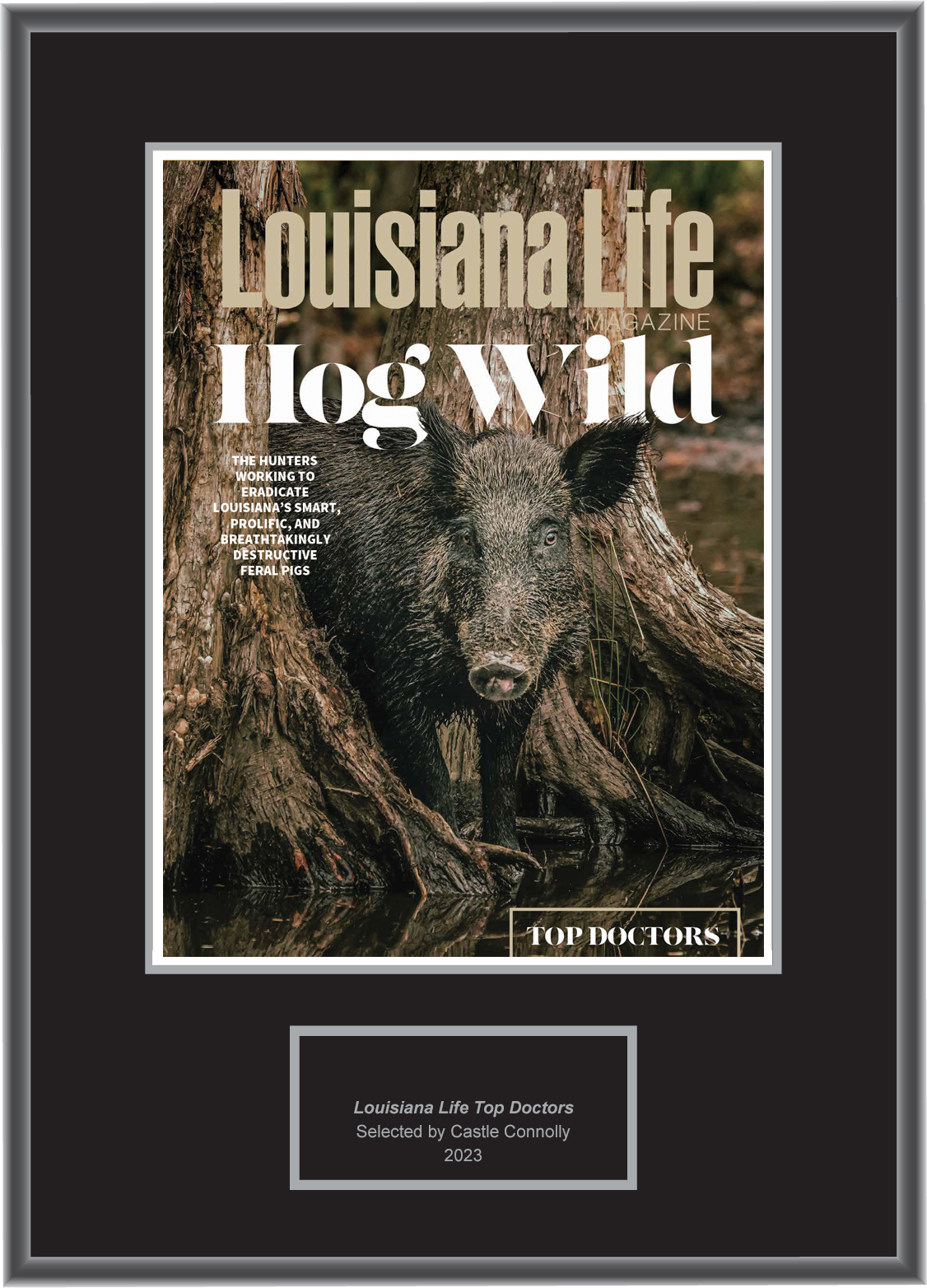 Louisiana Life Magazine Top Doctors 2023 - Plaque