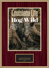 Load image into Gallery viewer, Louisiana Life Magazine Top Doctors 2023 - Plaque
