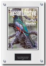 Load image into Gallery viewer, Tucson Lifestyle Magazine Top Doctors 2023 - Plaque
