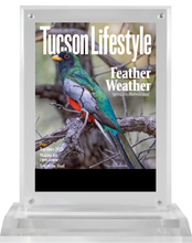 Load image into Gallery viewer, Tucson Lifestyle Magazine Top Doctors 2023 - Plaque
