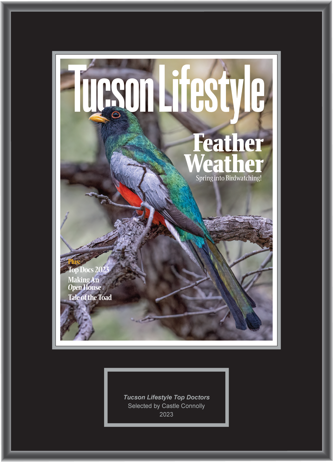 Tucson Lifestyle Magazine Top Doctors 2023 - Plaque