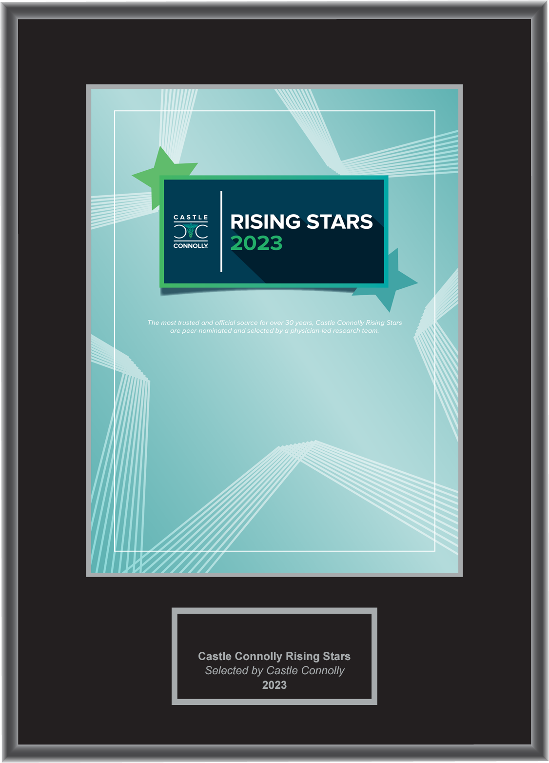 Rising Stars 2023 - Plaque